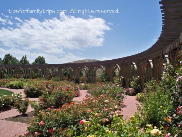 Rose Garden, Thanksgiving Point