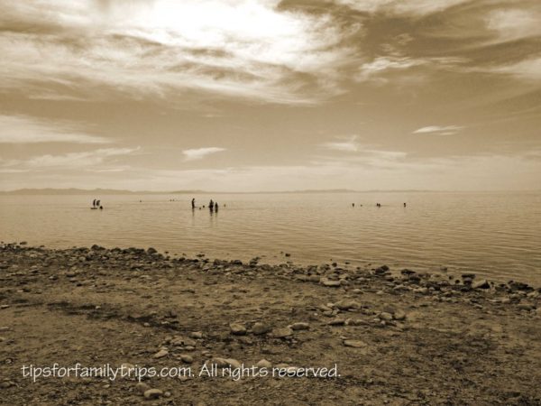 Swim in the Great Salt Lake