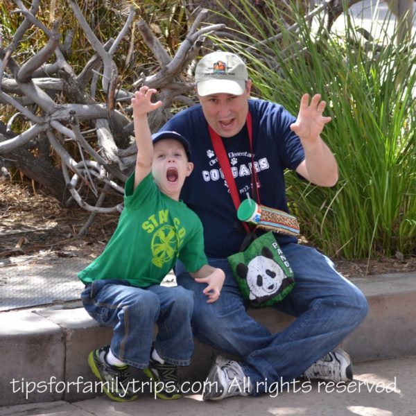 Going wild at the Safari Park San Diego Zoo Safari Park