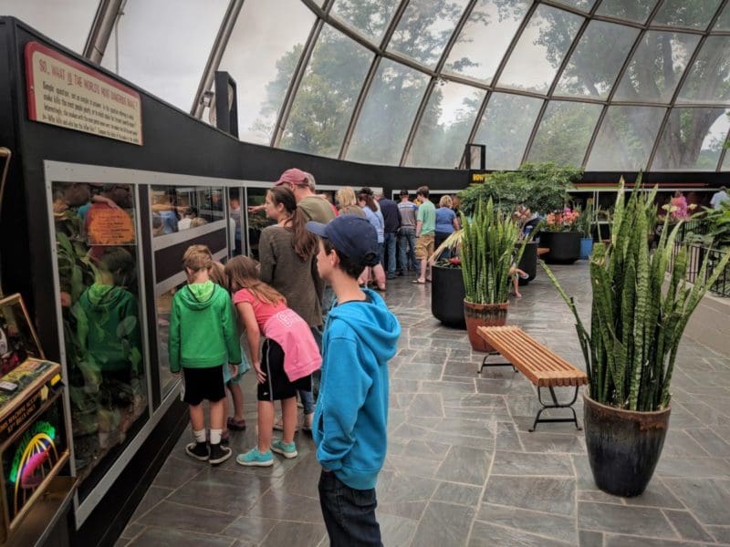 Review Of Reptile Gardens In South Dakota Tips For Family Trips