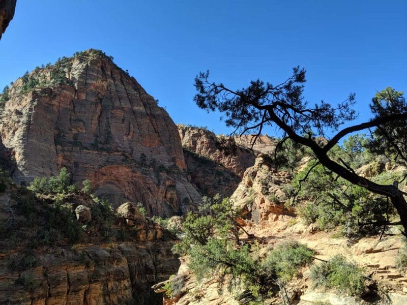 Canyon Overlook Trail, Zion National Park, Utah