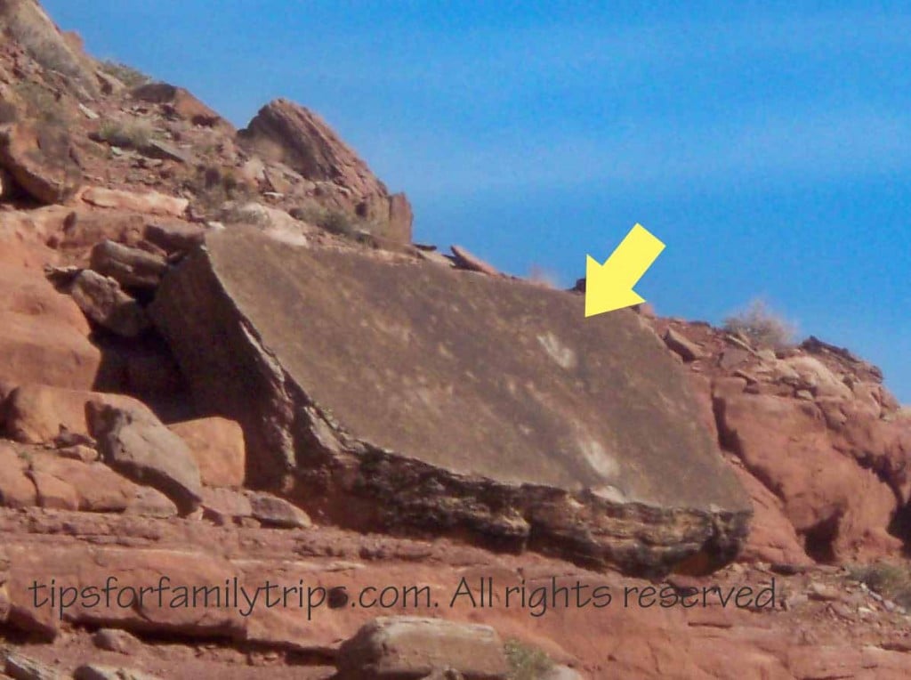 Dinosaur tracks