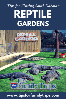 alligator show at Reptile Gardens in South Dakota