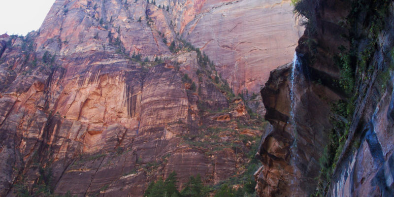 Top stops for families at Zion National Park in Utah | tipsforfamilytrips.com | spring break | summer vacation | family vacation |