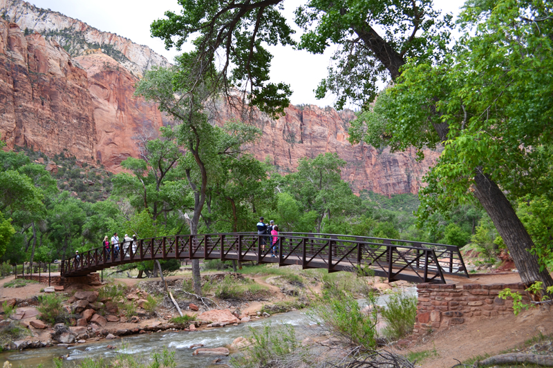 Where To Stay At Zion National Park Tips For Family Trips