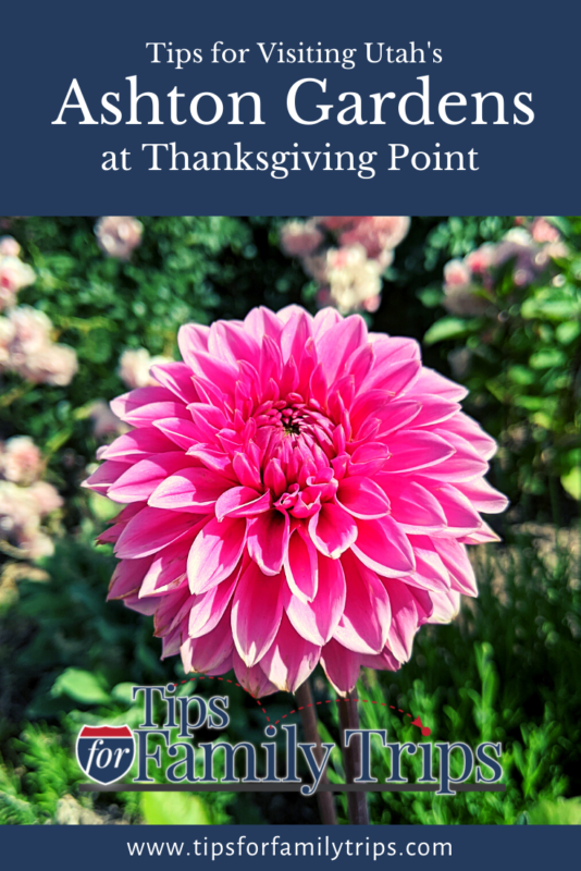 Ashton Gardens at Thanksgiving Point - image for Pinterest
