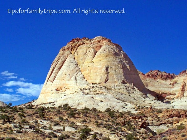 National Park fees