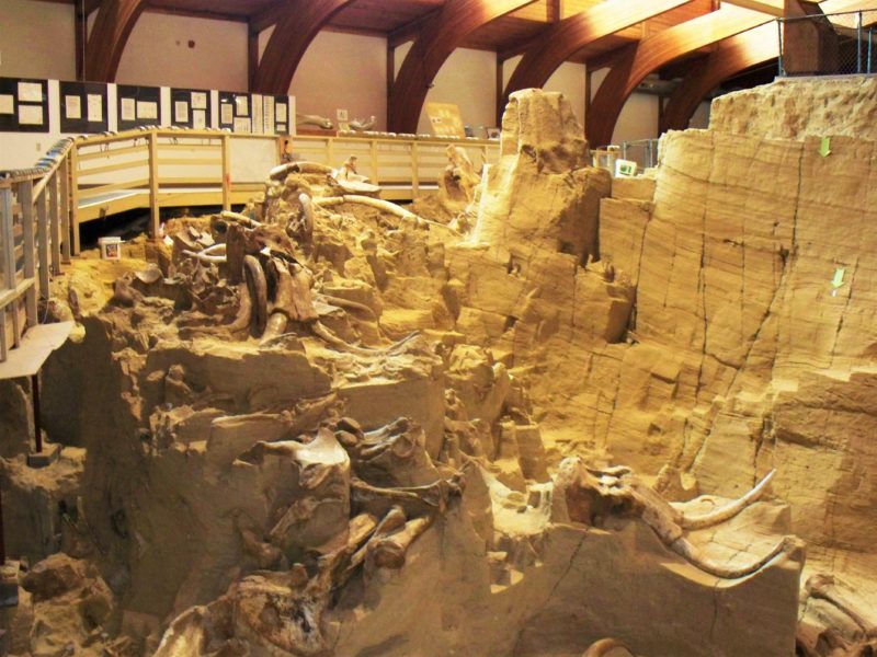 Tips for visiting the Mammoth Site in Hot Springs, South Dakota with kids. If anyone in your family loves fossils, this is a MUST on your Black Hills vacation. | tipsforfamilytrips.com | Mount Rushmore | dinosaur museum | travel | summer vacation