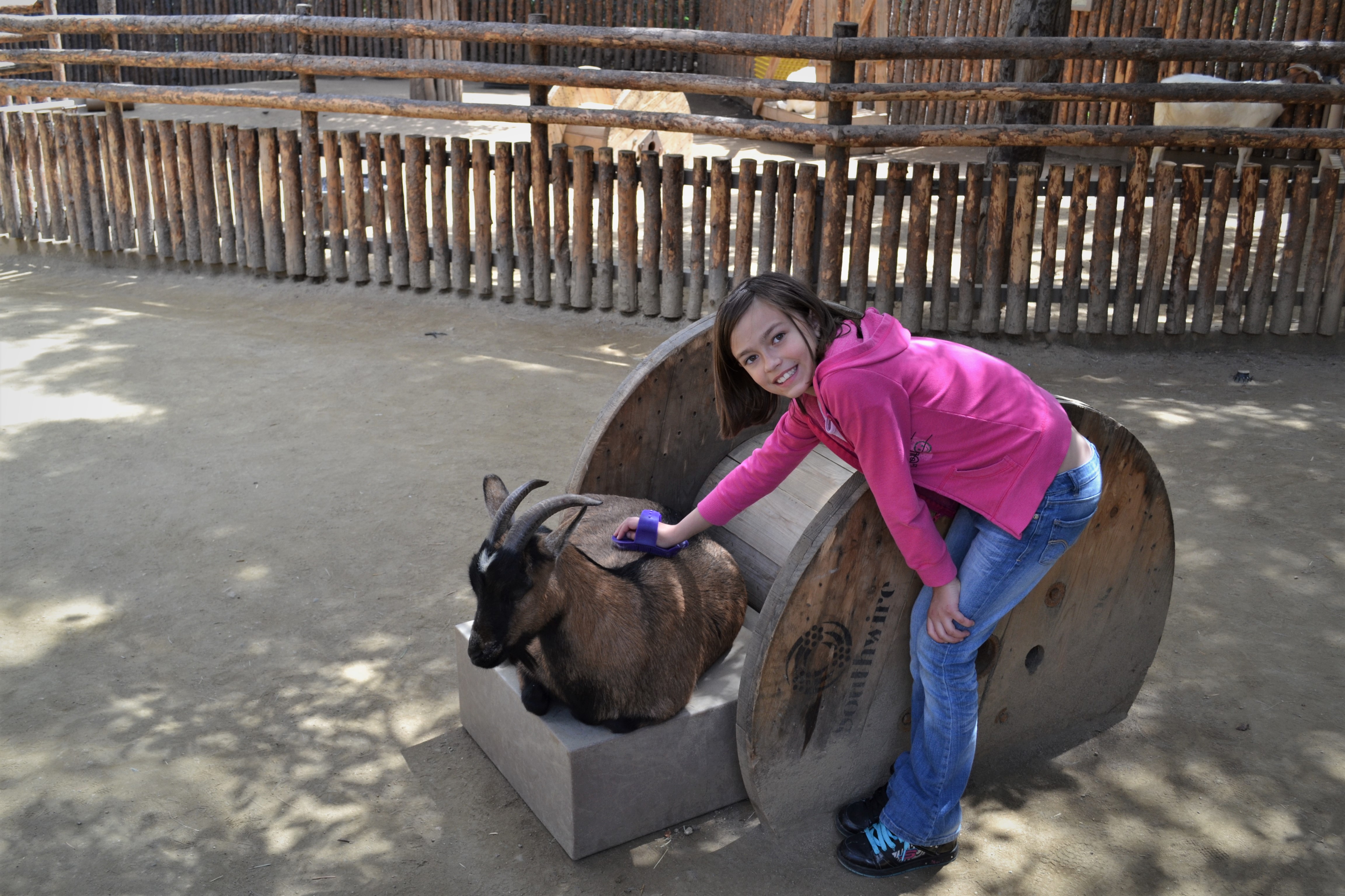 Tips For Visiting The San Diego Zoo Safari Park - Tips For Family Trips