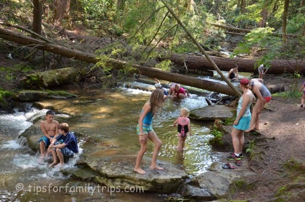 Play in the River at Swallow Falls State Park | tipsforfamilytrips.com