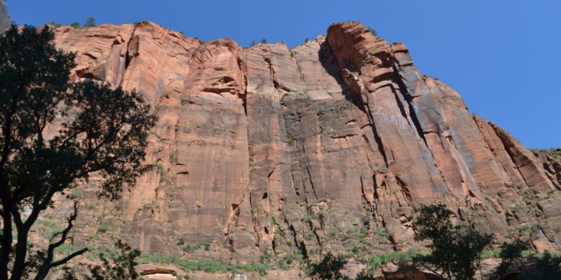 Tips for hiking the Zion Narrows with kids | tipsforfamilytrips.com | Zion National Park | Utah | summer vacation | Southwest | family vacation