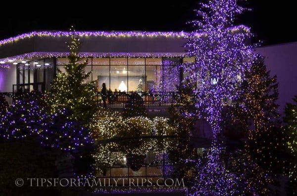 Festival of Lights