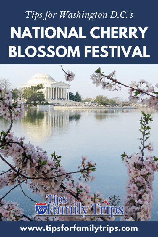National Cherry Blossom Festival in Washington D.C. - image for Pinterest