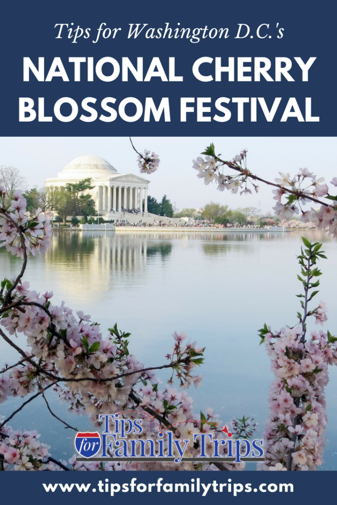 Tips for the National Cherry Blossom Festival Tips For Family Trips