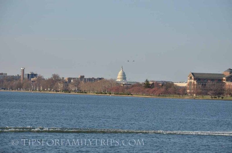 national cherry blossom festival, view from Potomac River cruise