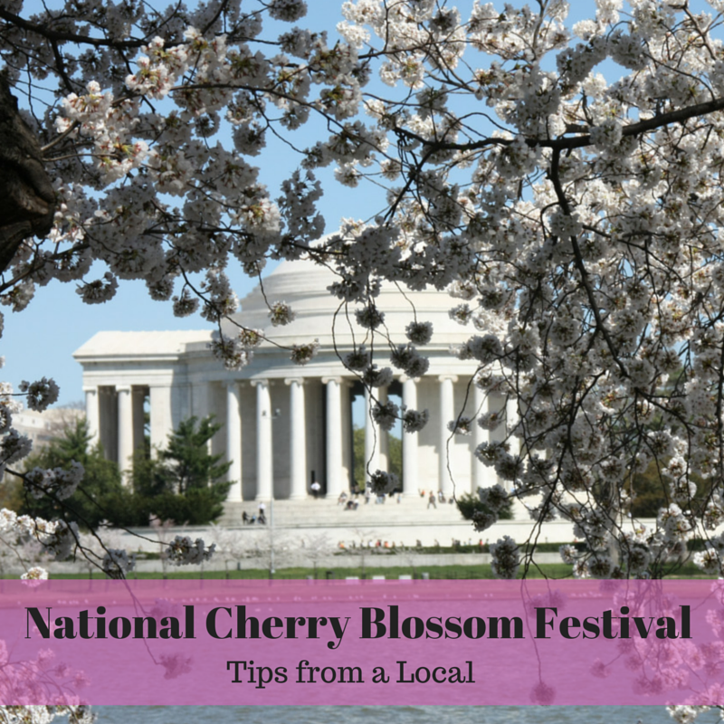 National Cherry Blossom Festival 6 secrets from a local! Tips For