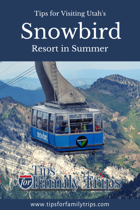 Top Things to Do at Snowbird in the Summer Tips For Family Trips