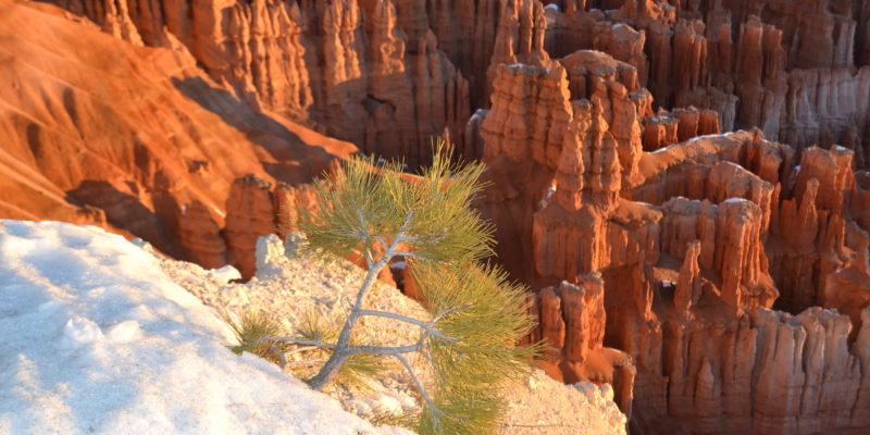 winter in bryce canyon