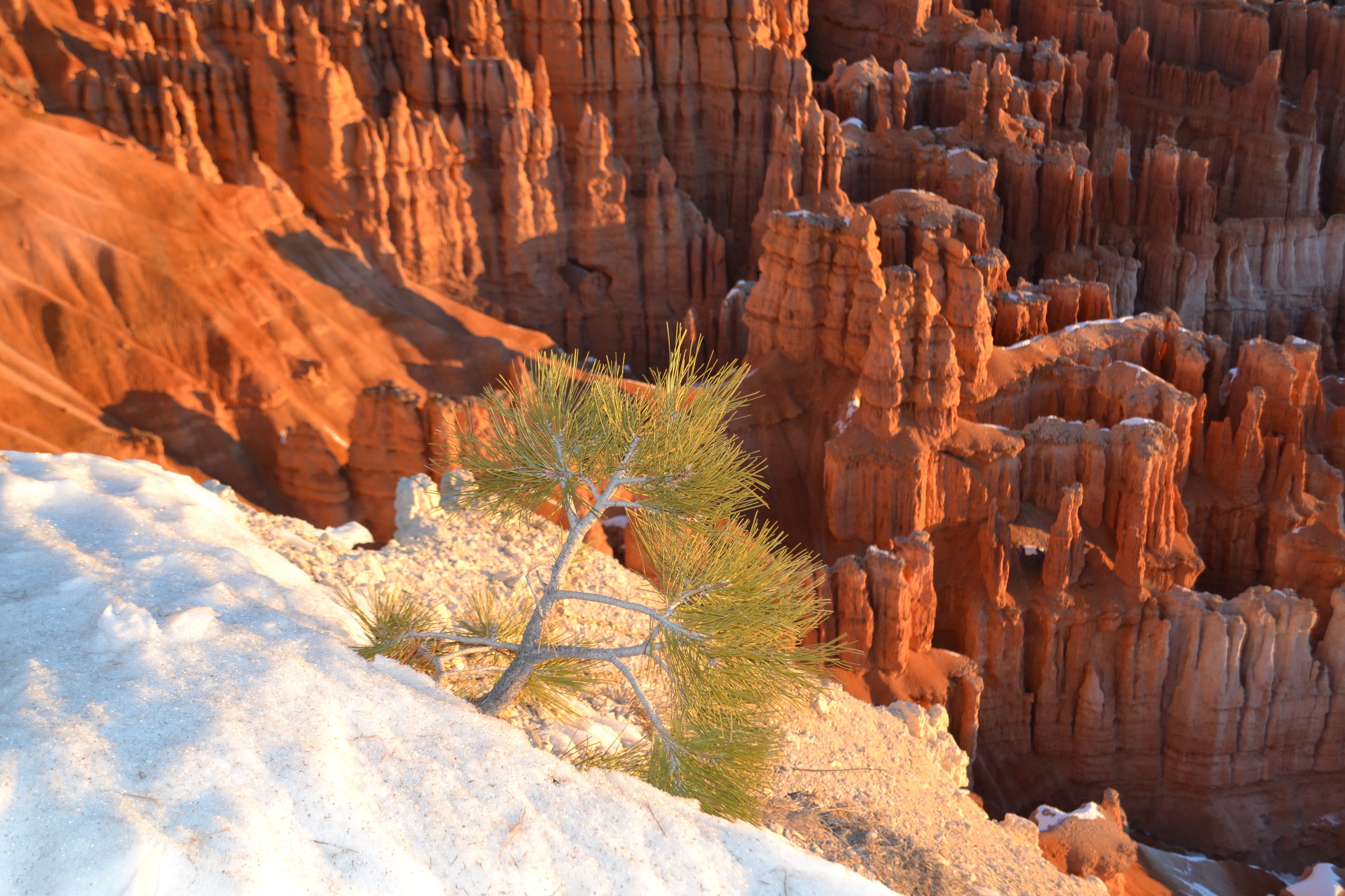 Tips for Visiting Bryce Canyon in Winter Tips For Family Trips