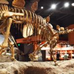 Love dinosaurs? Don't miss the Utah Field House of Natural History