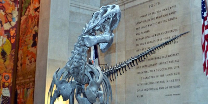 Tips for visiting the American Museum of Natural History in New York City with kids | tipsforfamilytrips.com | vacation ideas | NYC | family travel