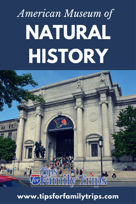 How long to spend at american museum of natural history Tips For Visiting The American Museum Of Natural History