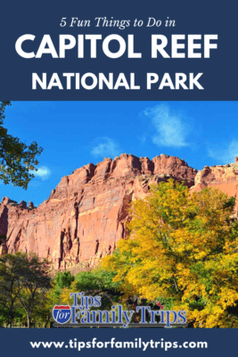things to do in capitol reef national park image with text and photo. Photo of red cliffs and fall leaves at Capitol Reef