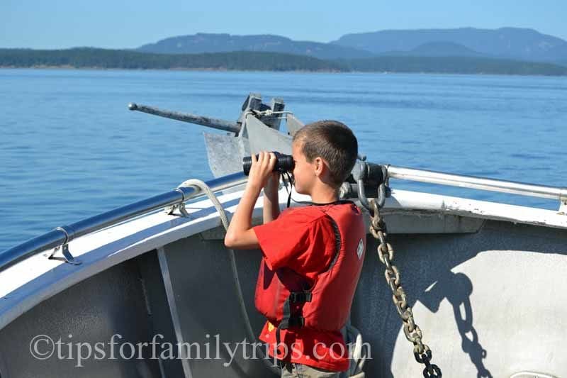 What to expect on a whale watching trip with San Juan Excursions | tipsforfamilytrips.com
