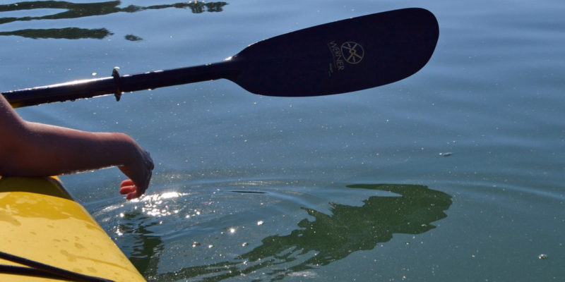 Tips for a family kayak tour in the San Juan Islands, Washington. This is a great way to spot wildlife! | tipsforfamilytrips.com | summer vacation | family adventure