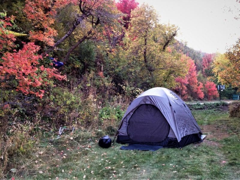 fall camping in utah - fall leaves in Utah