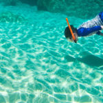 The Definitive Guide to Snorkeling at Smith's Reef in Turks and Caicos