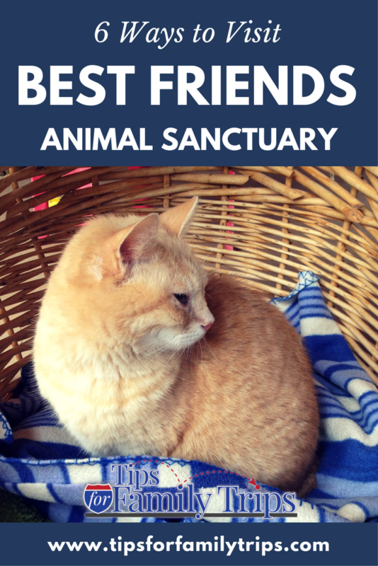 6 Ways to Visit Best Friends Animal Sanctuary in Kanab, Utah. This place is a MUST for animal lovers! It is located near Zion National Park, the Grand Canyon North Rim and Bryce Canyon National Park | tipsforfamilytrips.com | vacation ideas | Southern Utah | family travel