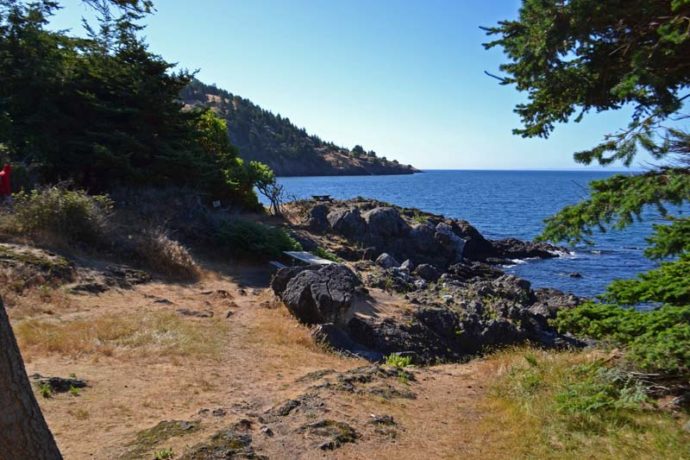 Whale watching at Lime Kiln Point State Park, San Juan Island