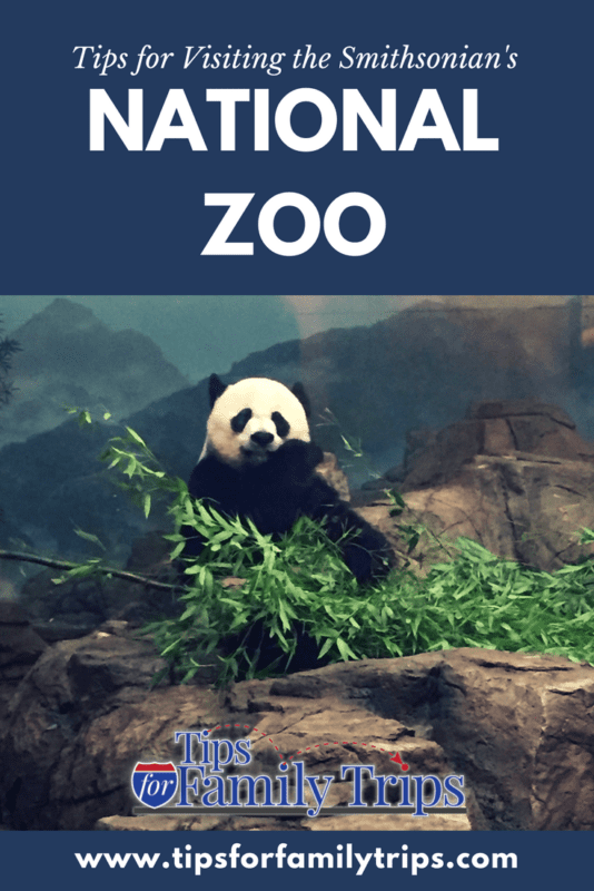 A first-timer's guide to the Smithsonian's National Zoo in Washington D.C. | tipsforfamilytrips.com #vacationideas #springbreak #summer #travel #pandas #washingtondc #tipsforfamilytrips