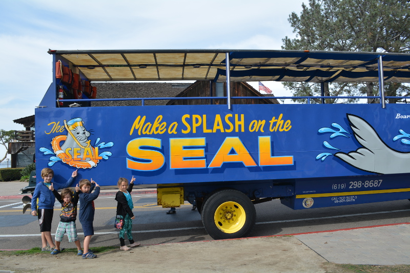 Where to find sea lions in San Diego with review of San Diego SEAL Tour
