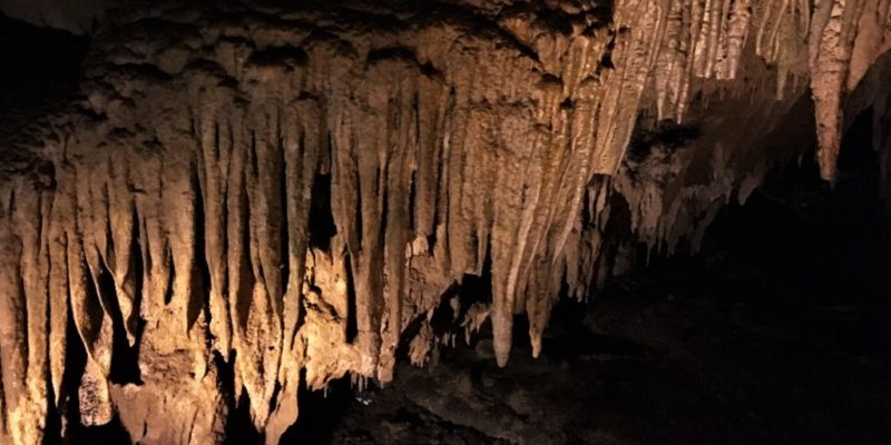 Tips for touring Mammoth Cave National Park in Kentucky | tipsforfamilytrips.com | Mammoth Cave tour | Frozen Niagara | Bowling Green | summer vacation | findyourpark | national parks | spring break | fall travel