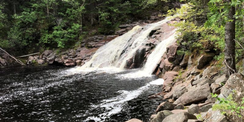 5 FUN things to do in Cape Breton Highlands National Park in Nova Scotia, Canada | tipsforfamilytrips.com | Cabot Trail | Cape Breton Island | Bay of Fundy | travel | summer vacation