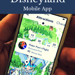 official Disneyland app for Pinterest