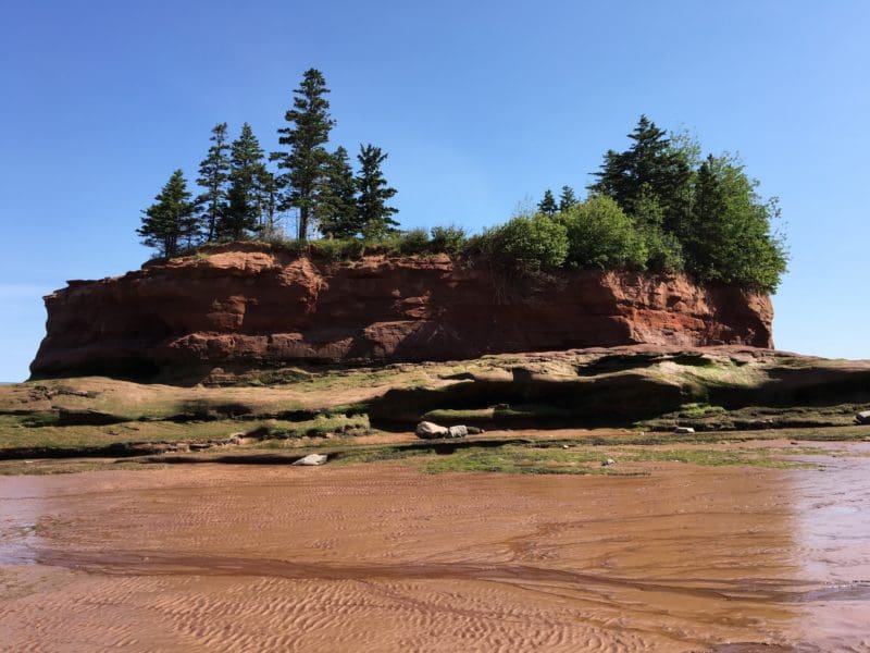 Why you HAVE to see Burntcoat Head Park in Nova Scotia, Canada | tipsforfamilytrips.com | family vacation | summer travel | Bay of Fundy tides