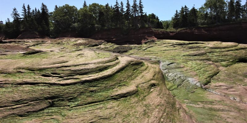 Why you HAVE to see Burntcoat Head Park in Nova Scotia, Canada | tipsforfamilytrips.com | family vacation | summer travel | Bay of Fundy tides