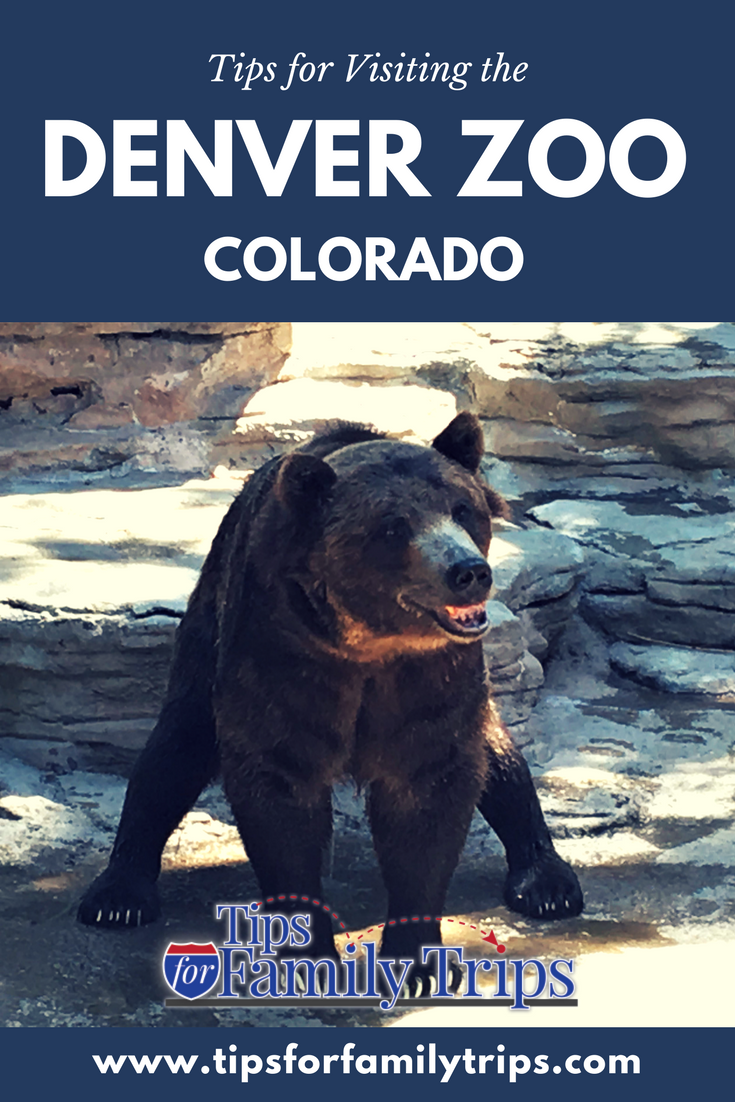 Top tips for families at the Denver Zoo - Tips For Family Trips
