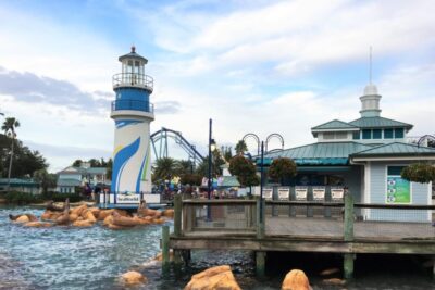 Tips for visiting SeaWorld Orlando in Orlando, Florida. My kids LOVED the big coasters at this fun park! | tipsforfamilytrips.com | things to do in Orlando, Florida | spring break ideas | Christmas break ideas | winter | educational | family travel