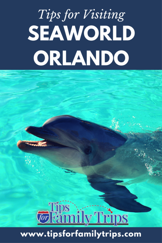 Tips for visiting SeaWorld Orlando in Orlando, Florida. My kids LOVED the big coasters at this fun park! | tipsforfamilytrips.com | things to do in Orlando, Florida | spring break ideas | Christmas break ideas | winter | educational | family travel