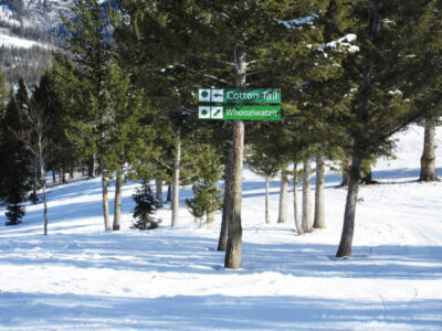 two green trail signs at Beaver Mountain Resort in Utah