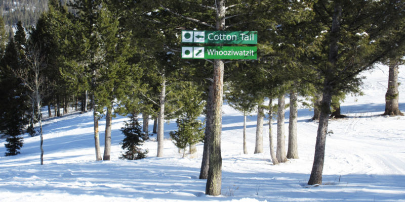 two green trail signs at Beaver Mountain Resort in Utah