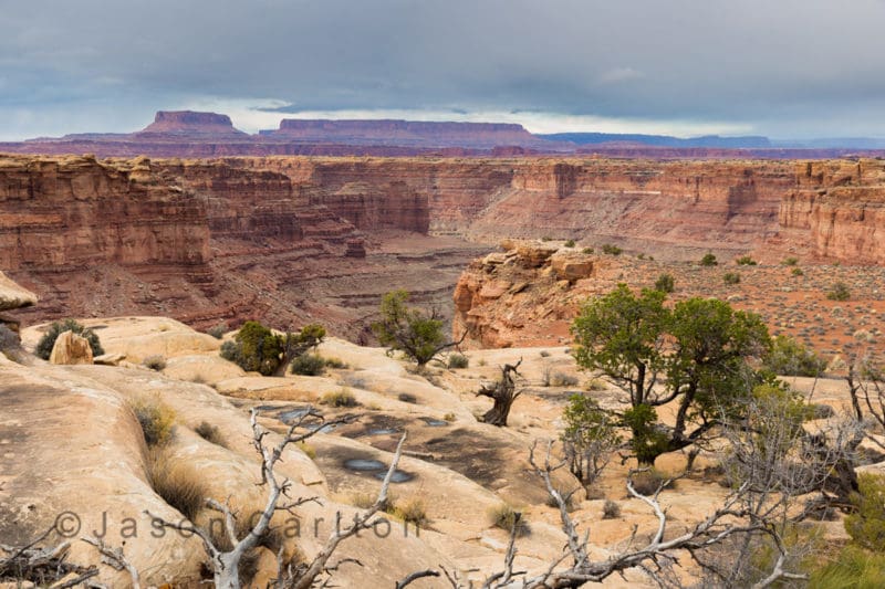 Itinerary for a Scenic Utah Arizona Winter Road Trip Hike Slickrock Trail Canyonlands National Park Overlook