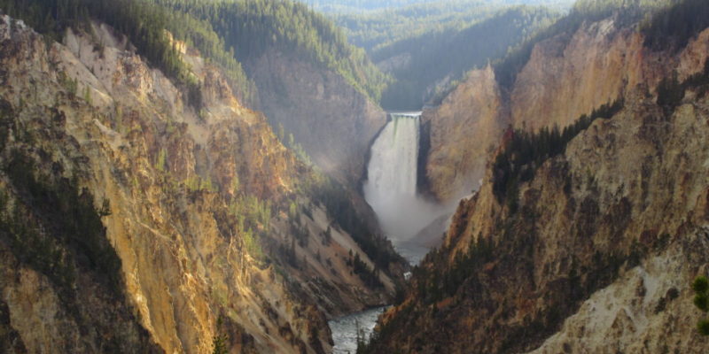 5 Fun Things to do in Yellowstone National Park with Kids | tipsforfamilytrips.com | findyourpark | wildlife | geysers | hiking | Junior Ranger | scenery | family vacation ideas | summer vacation | travel