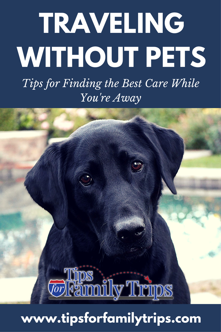 What To Do With Your Pets When You Are Traveling - Tips For Family Trips