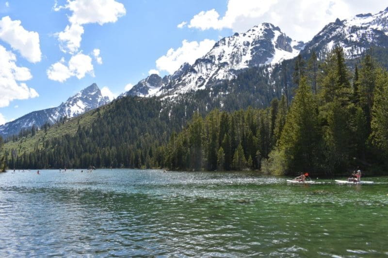 Mountains, trees and lake in Grand Teton National Park