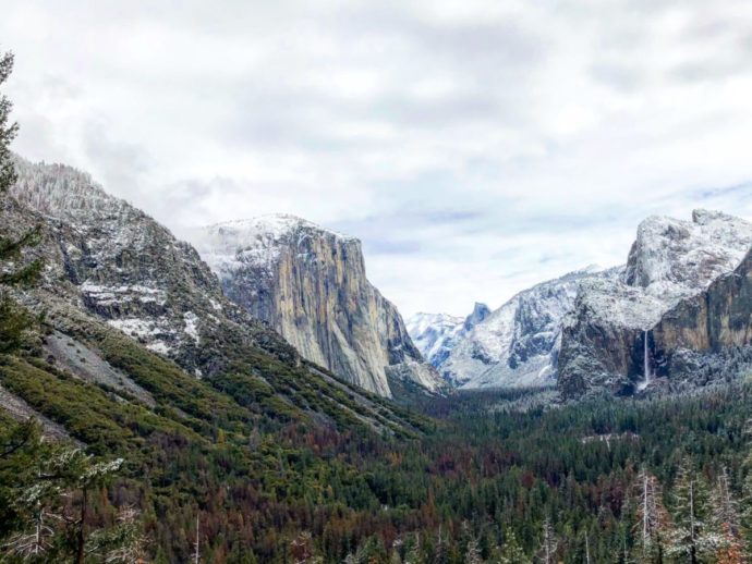 One Day in Yosemite National Park with Kids - Tips For Family Trips